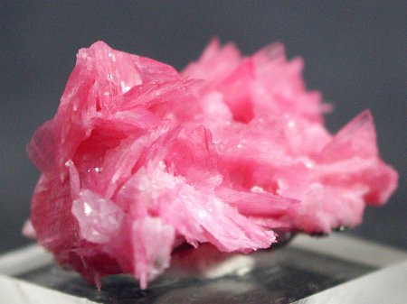 ���[�h�i�C�g�������� �΂�P�� (186)