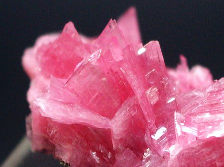 ���[�h�i�C�g�������� �΂�P�� (186)