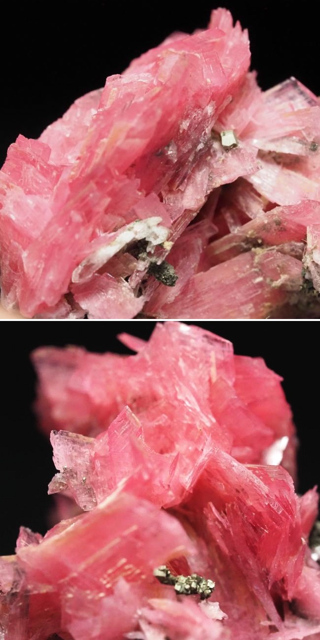 ���[�h�i�C�g�������� �΂�P�� 26x21x20(mm) (188)