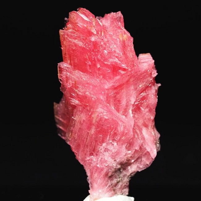 ���[�h�i�C�g�������� �΂�P�� 19x14x35(mm) (189)