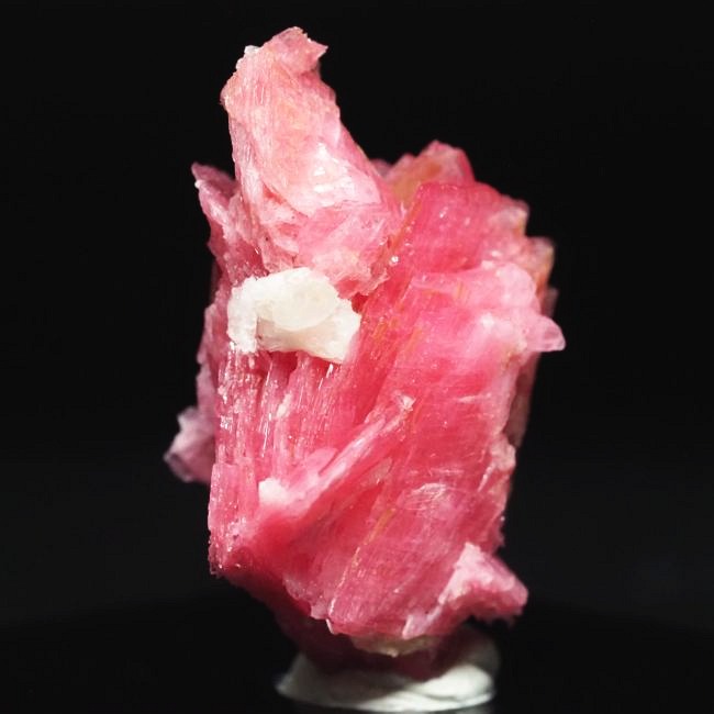 ���[�h�i�C�g�������� �΂�P�� 24x17x29(mm) (190)