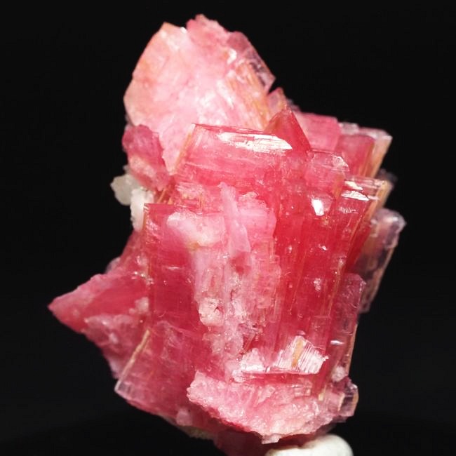 ���[�h�i�C�g�������� �΂�P�� 24x17x29(mm) (190)