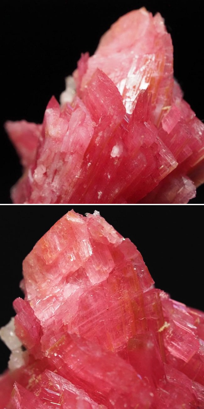 ���[�h�i�C�g�������� �΂�P�� 24x17x29(mm) (190)