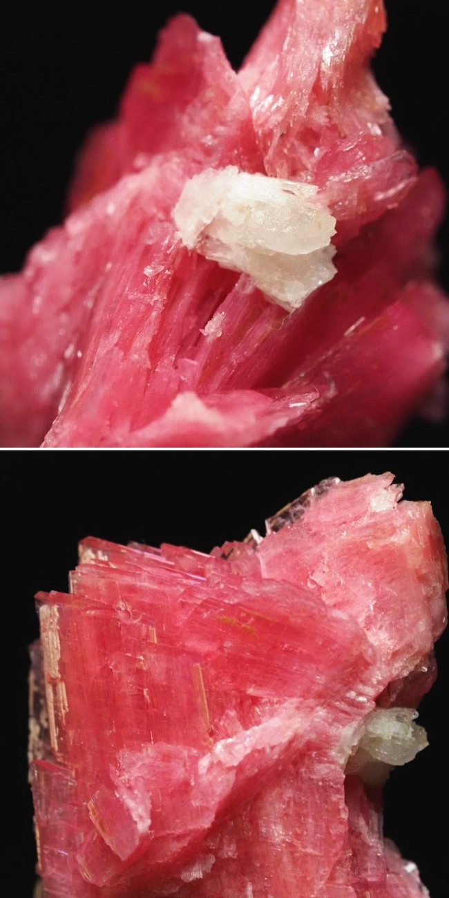 ���[�h�i�C�g�������� �΂�P�� 24x17x29(mm) (190)