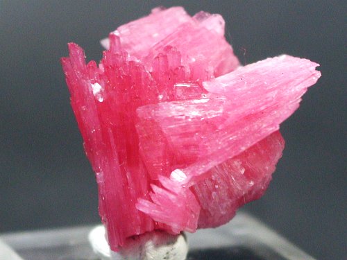 ���[�h�i�C�g�������� �΂�P��(187)