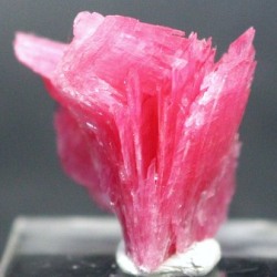 ���[�h�i�C�g��������<br> �΂�P��(187)