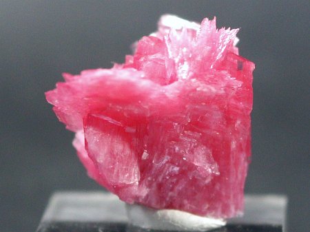 ���[�h�i�C�g�������� �΂�P��(187)