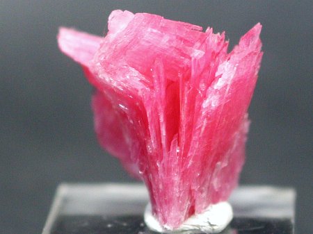 ���[�h�i�C�g�������� �΂�P��(187)