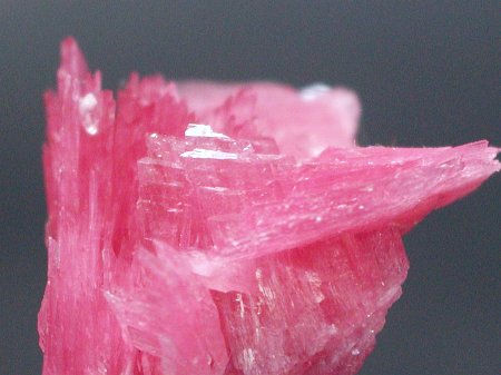 ���[�h�i�C�g�������� �΂�P��(187)