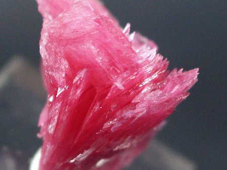 ���[�h�i�C�g�������� �΂�P��(187)