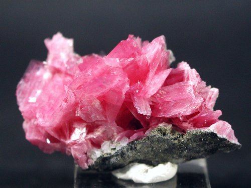 ���[�h�i�C�g�������� �΂�P�� (192)