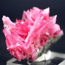 ���[�h�i�C�g��������<br> �΂�P�� (192)