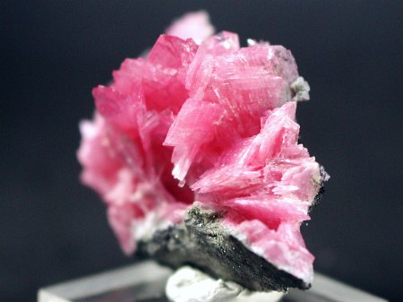 ���[�h�i�C�g�������� �΂�P�� (192)