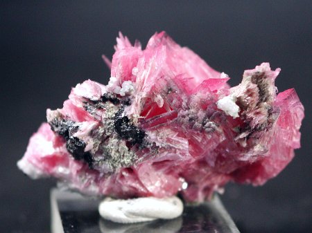 ���[�h�i�C�g�������� �΂�P�� (192)