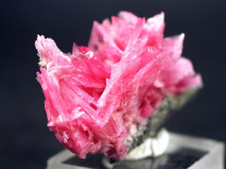 ���[�h�i�C�g�������� �΂�P�� (192)