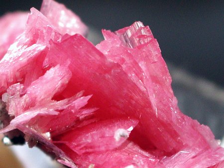 ���[�h�i�C�g�������� �΂�P�� (192)