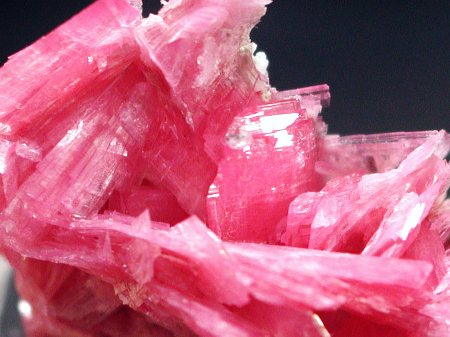 ���[�h�i�C�g�������� �΂�P�� (192)