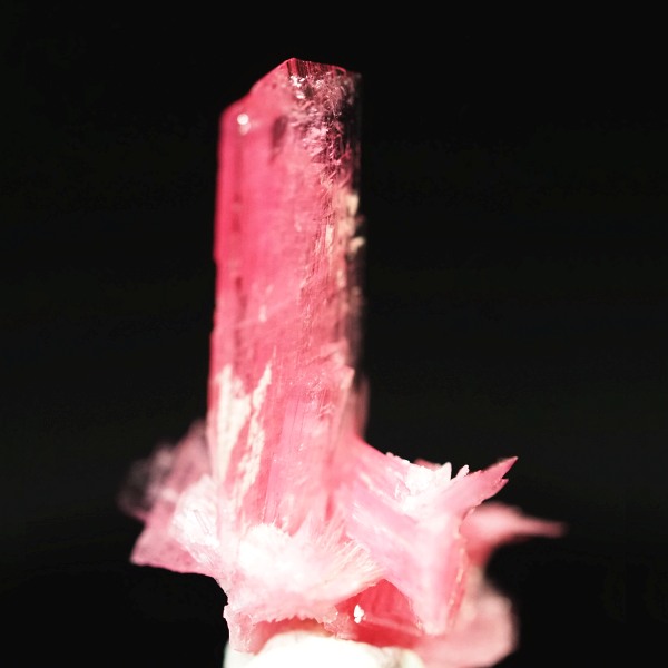 ���[�h�i�C�g�������� �΂�P�� 16x11x15(mm) (241)