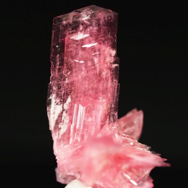 ���[�h�i�C�g�������� �΂�P�� 16x11x15(mm) (241)