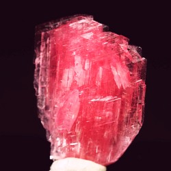 ���[�h�i�C�g��������<br> �΂�P��<br> 12x6.5x15(mm) (242)