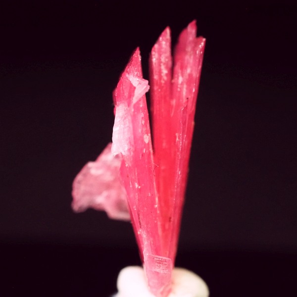 ���[�h�i�C�g�������� �΂�P�� 12x6.5x15(mm) (242)