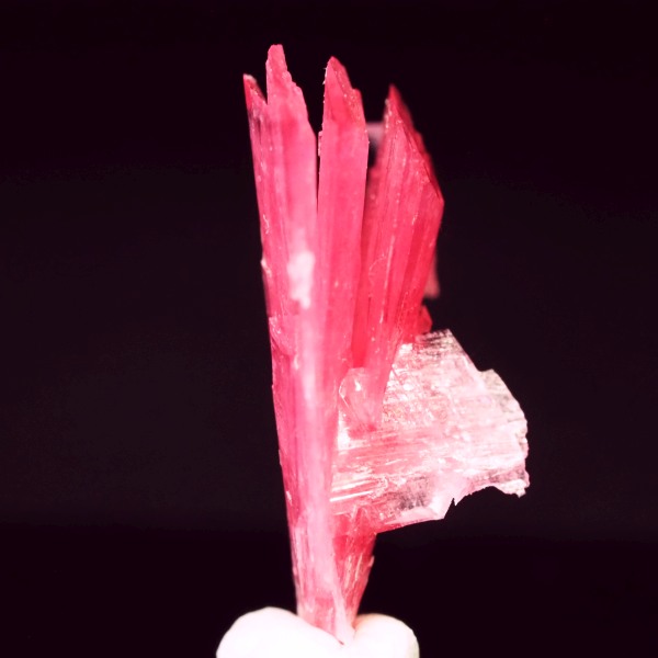 ���[�h�i�C�g�������� �΂�P�� 12x6.5x15(mm) (242)