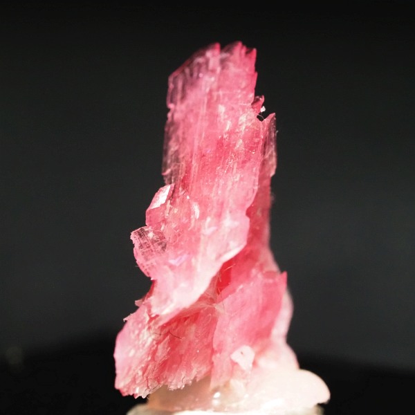 ���[�h�i�C�g�������� �΂�P�� 17x8x16(mm) (244)