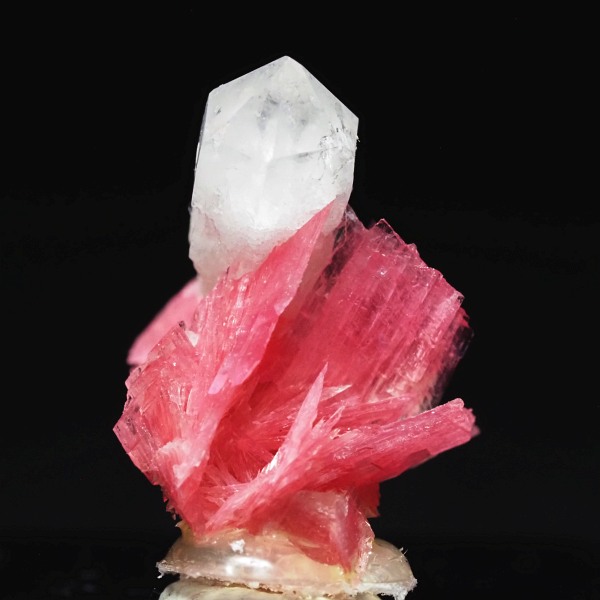 ���[�h�i�C�g�������� �΂�P�� 15.5x13.5x18(mm) (250)