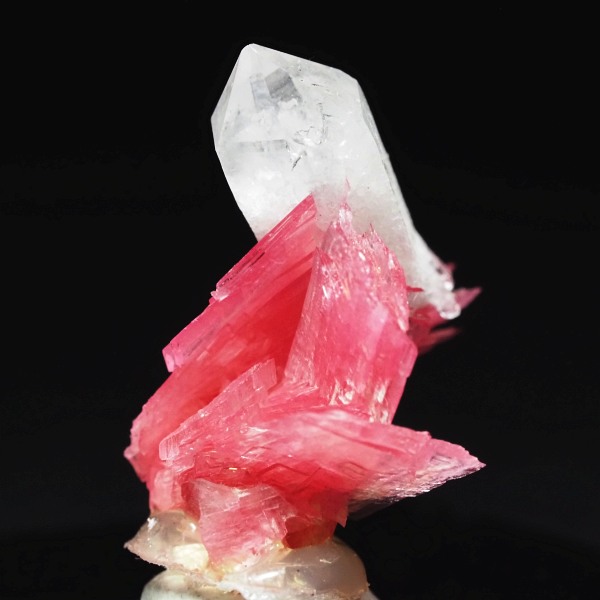 ���[�h�i�C�g�������� �΂�P�� 15.5x13.5x18(mm) (250)