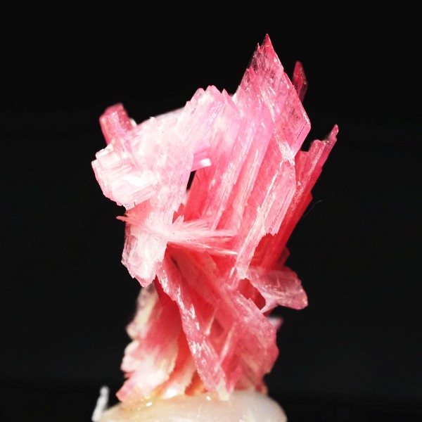 ���[�h�i�C�g�������� �΂�P�� 15x12x20(mm) (251)