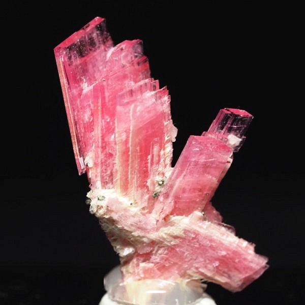 ���[�h�i�C�g�������� �΂�P�� 19x11x21(mm) (252)