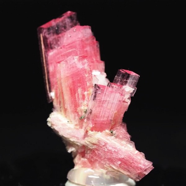 ���[�h�i�C�g�������� �΂�P�� 19x11x21(mm) (252)