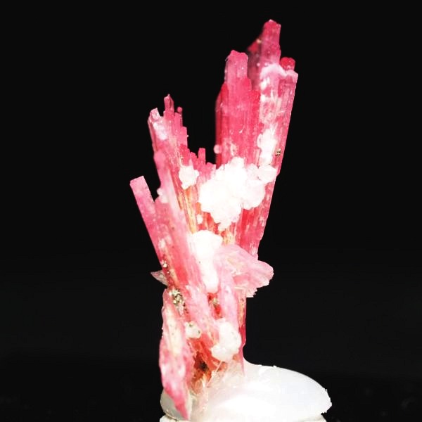 ���[�h�i�C�g�������� �΂�P�� 19x11x21(mm) (252)