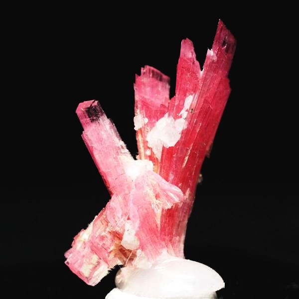 ���[�h�i�C�g�������� �΂�P�� 19x11x21(mm) (252)