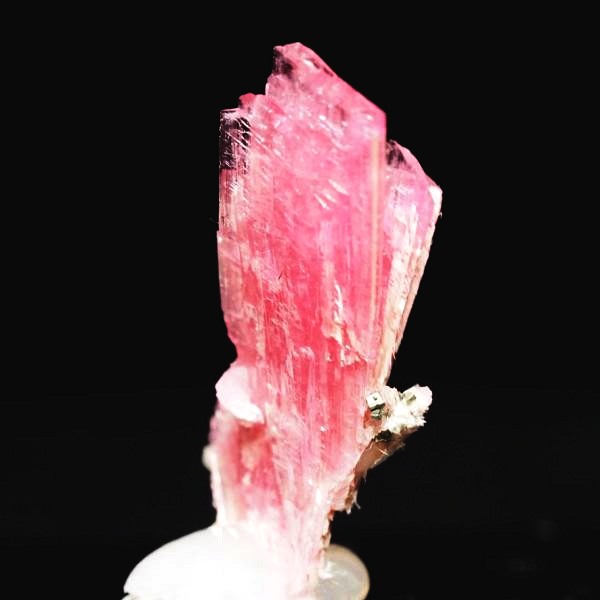 ���[�h�i�C�g�������� �΂�P�� 19x11x21(mm) (252)