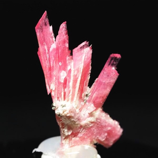 ���[�h�i�C�g�������� �΂�P�� 19x11x21(mm) (252)