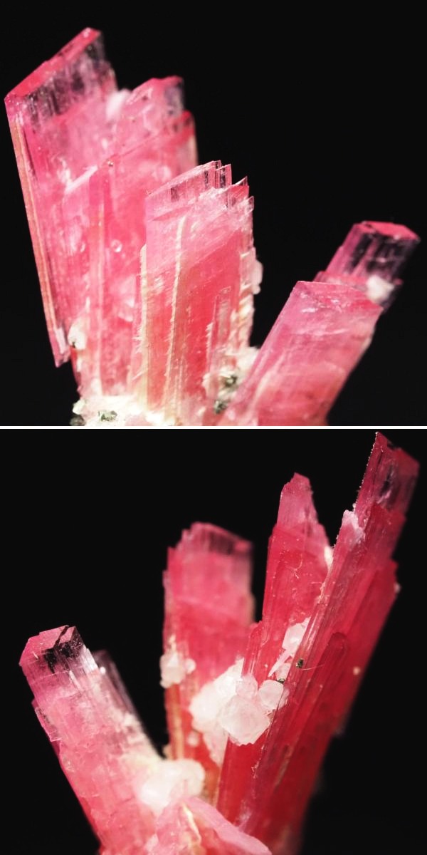 ���[�h�i�C�g�������� �΂�P�� 19x11x21(mm) (252)