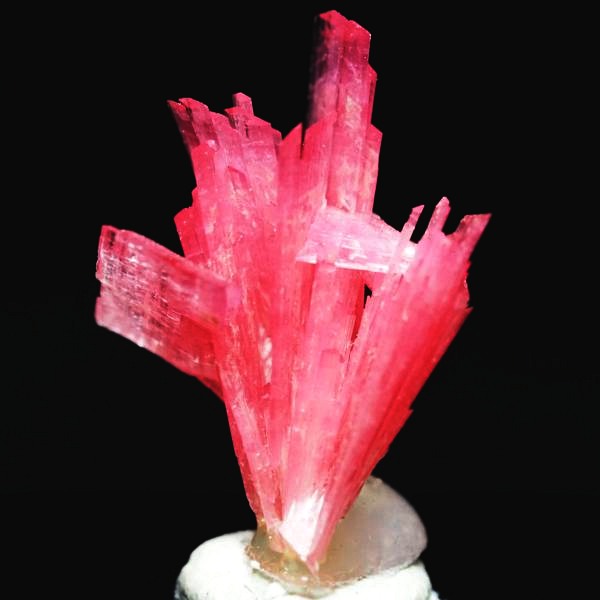 ���[�h�i�C�g�������� �΂�P�� 15x13.5x19(mm) (256)