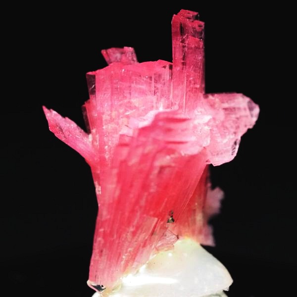 ���[�h�i�C�g�������� �΂�P�� 15x13.5x19(mm) (256)