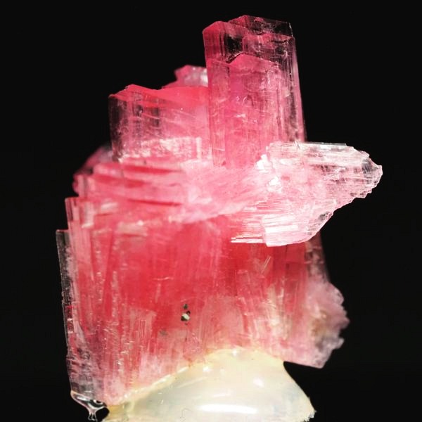 ���[�h�i�C�g�������� �΂�P�� 15x13.5x19(mm) (256)