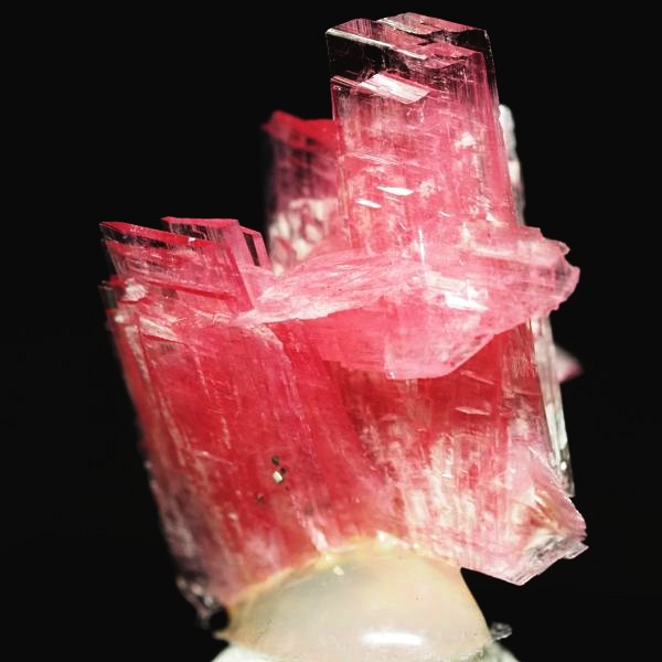 ���[�h�i�C�g�������� �΂�P�� 15x13.5x19(mm) (256)