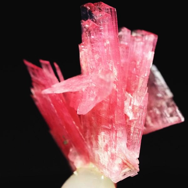 ���[�h�i�C�g�������� �΂�P�� 15x13.5x19(mm) (256)