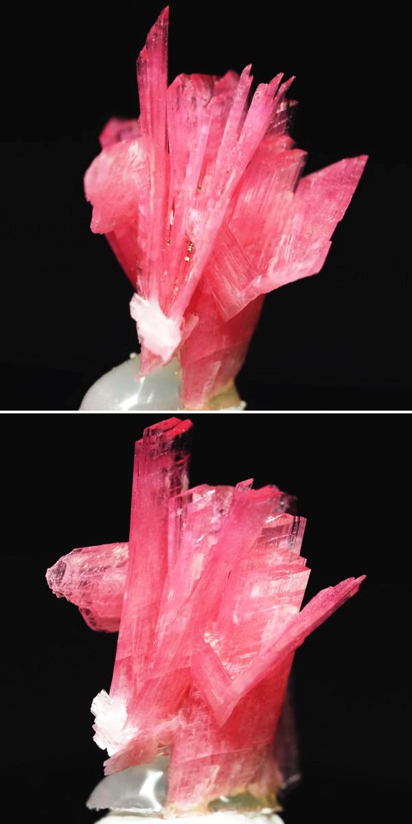 ���[�h�i�C�g�������� �΂�P�� 15x13.5x19(mm) (256)