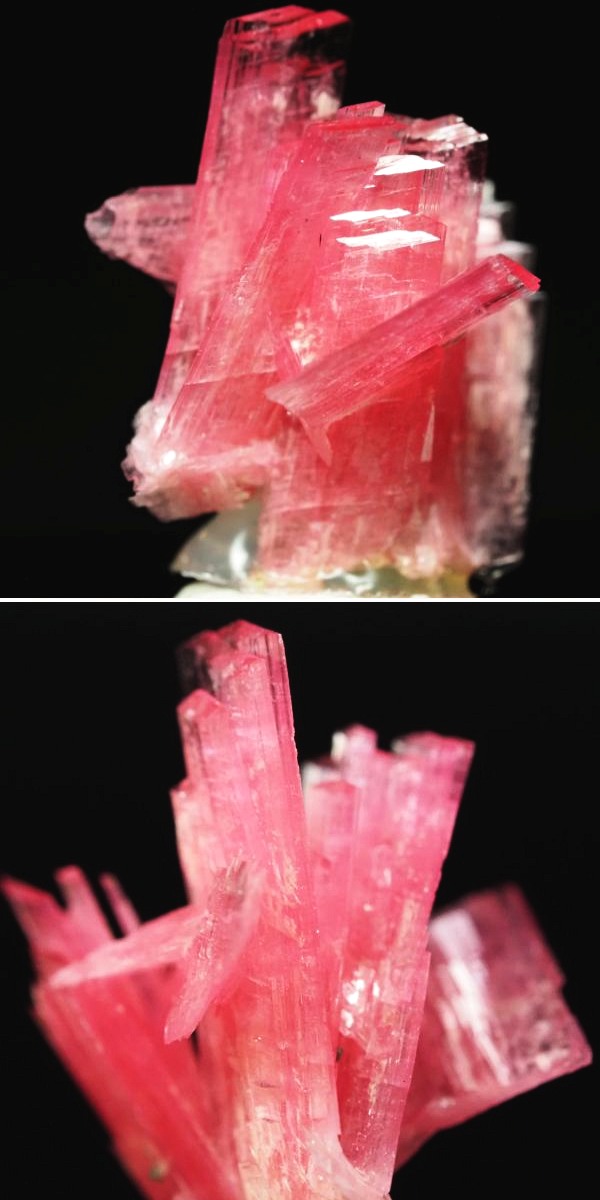 ���[�h�i�C�g�������� �΂�P�� 15x13.5x19(mm) (256)