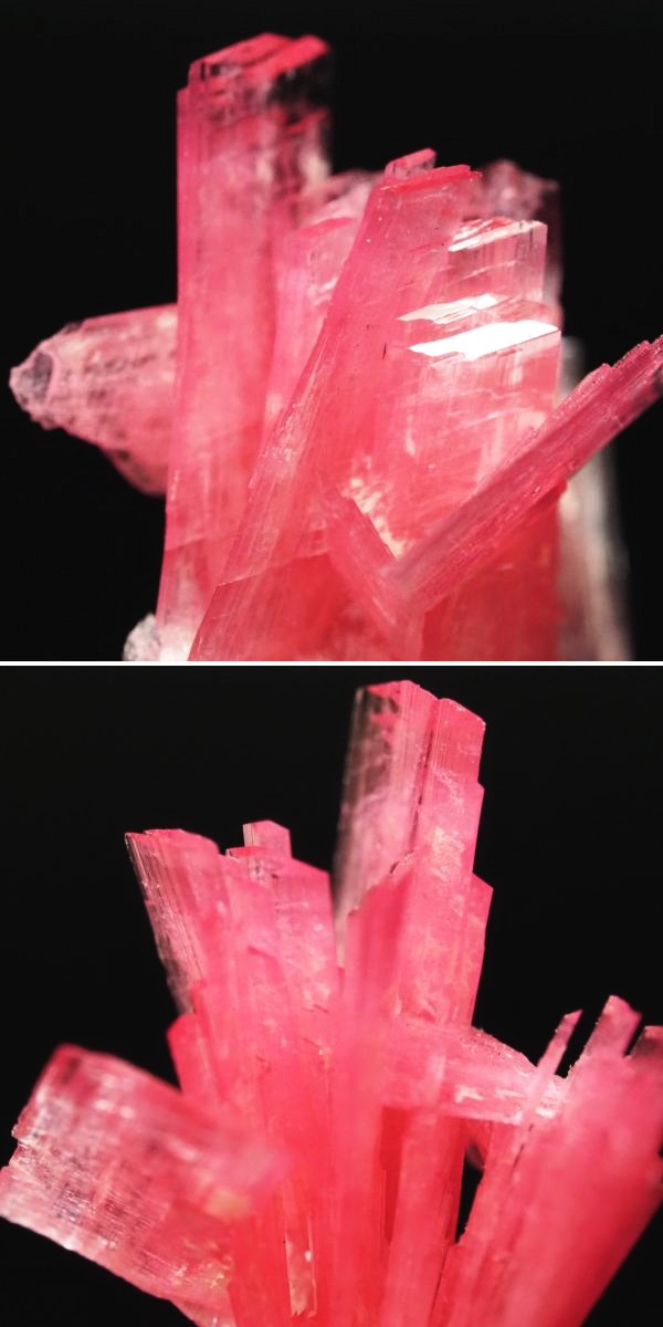 ���[�h�i�C�g�������� �΂�P�� 15x13.5x19(mm) (256)