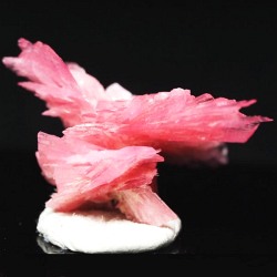 ���[�h�i�C�g��������<br> �΂�P��<br> 20x14.5x14(mm) (258)