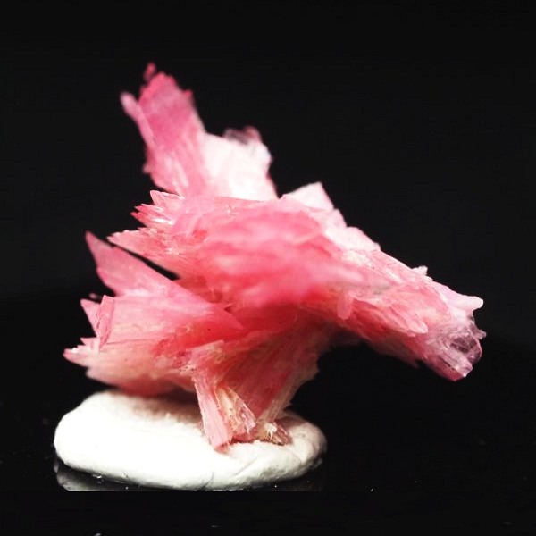 ���[�h�i�C�g�������� �΂�P�� 20x14.5x14(mm) (258)