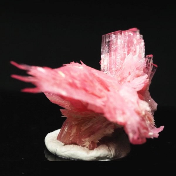 ���[�h�i�C�g�������� �΂�P�� 20x14.5x14(mm) (258)