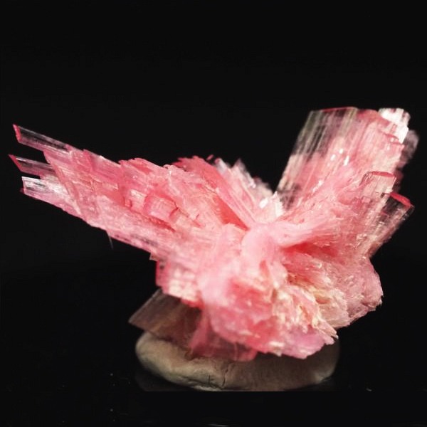 ���[�h�i�C�g�������� �΂�P�� 20x14.5x14(mm) (258)