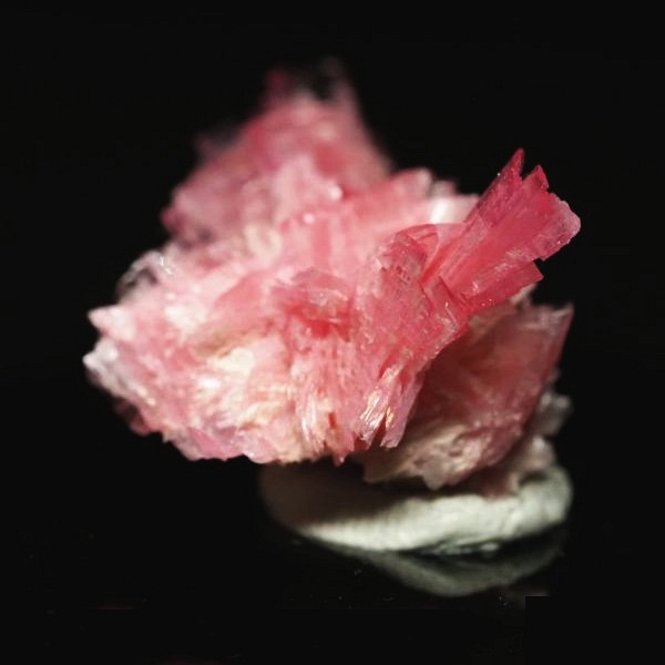 ���[�h�i�C�g�������� �΂�P�� 20x14.5x14(mm) (258)